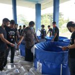 Pamerkan 449 Ikan, Pecinta Koi Sultra Rebut Piala Pangdam XIV/Hsn dan Hadiah Rp 30 Juta