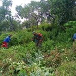 Babinsa Manfaatkan Lahan Kosong Jadi Kebun Warga