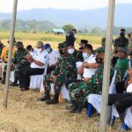 Kodim 1417/Kendari bersama Pemda Kabupaten Konawe Gelar Panen Raya Dengan Penerapan Paket Teknologi Biotani
