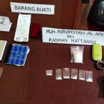 Sembunyikan di Pot Bunga, Ditresnarkoba Polda Sultra Tangkap Pengedar Sabu