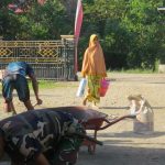 Ikut Berpartisipasi, Kaum Hawa Rutinitas Antarkan Makanan dan Minuman Anggota Satgas TMMD