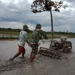 Wujud Kebersamaan Babinsa dan Kelompok Tani di Desa Binaan