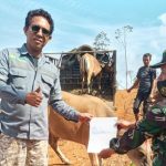 Tiran Group Salurkan 10 Ekor Hewan Kurban di Konut