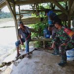 Berikan Semangat Pada Petani, Babinsa Kodim Kendari Bantu bajak Sawah di Tengah Covid-19