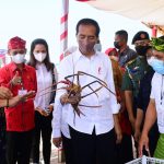 Presiden Jokowi Tinjau Pameran UMKM di Wakatobi