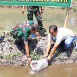 Ketahanan Pangan Budi Daya Ikan Nila Kodim 1425 Jeneponto