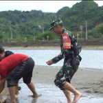 Aksi Heroik Babinsa Koramil 1412-0/Lasusua Selamatkan Hewan Langka di Pesisir Pantai
