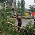 Tanggap Bencana, Personil Polsek Maritengngae Polres Sidrap Bersama Warga Evakuasi Pohon Tumbang