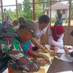 Perhatian Dengan Perkembangan Kesehatan Balita dan Lansia di Perbatasan, Satgas Yonif 725/WRG Berkerjasama Dengan Puskesmas Kombut Laksanakan Posyandu
