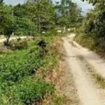 Kasasi Ditolak, Polemik Gugatan Tanah di Nanga-Nanga Inkrah, Polda Sultra Pemilik Sah