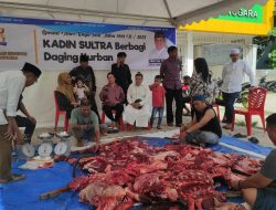 Kadin Sultra Berkurban 3 Ekor Sapi Dan Membagikan 200 Kupon Kepada Masyarakat Kota Kendari.