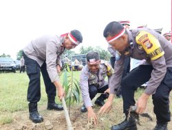 Melalui Program Polri Lestarikan Negeri Dengan Penghijauan Sejak Dini, Polres Sidrap Melakukan Penanaman 1000 Pohon