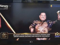 Kadin Sultra Terima Penghargaan Indonesia Award 2023