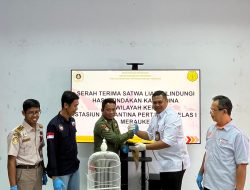 Karantina Merauke Gagalkan Penyeludupan, Cahyono : Semua Satwa Tahanan Diserahterimakan