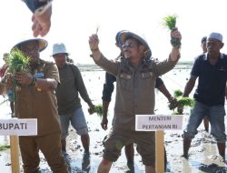 Kementan Dorong Pengembangan Pertanian Organik
