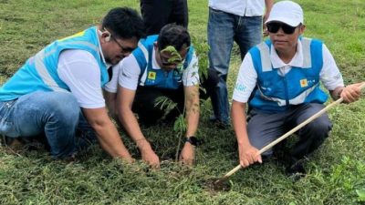 Peringatan Hari Bumi 2024, PLN Tanam 1.000 Pohon Produktif di Wajo