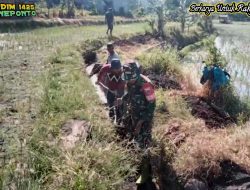 Komitmen TNI AD Sekseskan Swasembada Pangan Jeneponto Turun ke Sawah Tanam Padi