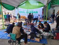 Perayaan Idul Adha 1445 H, Pegadaian Kanwil Makassar Potong & Bagikan  107 Ekor Hewan Qurban