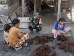 Petani Rumput Laut Jadi Sasaran Komso Babinsa Koramil Tamalatea