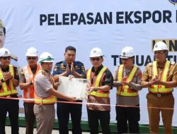 Pelepasan 646 Ton Ekspor Kelapa Bulat Sultra Ke Tiongkok