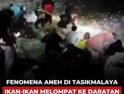 Fenomena Aneh di Tasikmalaya Ikan-ikan Melompat ke Daratan