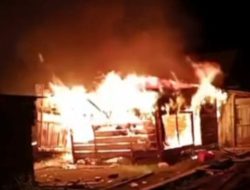 Sijago Merah Kembali Beraksi di Pasar Sentral Bambaea Poltim Kabupaten Bombana