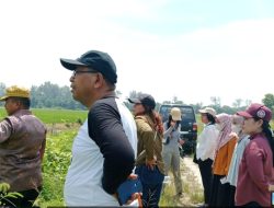 Hentikan Fitnah! Sengketa Tanah Pematang Kelang, Resmi Berkekuatan Hukum