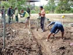 Memasuki Hari Ke-3, Satgas TMMD ke-124 Pasang Pondasi RTLH Milik ibu Salmawati