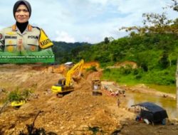 Mafia PETI Menggurita, Aparat Pasaman Barat Diduga Tutup Mata: Penegakan Hukum Lumpuh oleh Setoran Haram