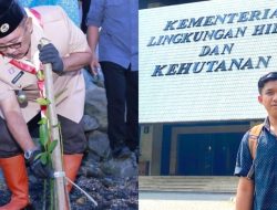 IKAMI Sul-Sel Angkat Bicara Soal Program Tanaman Mangrove di Gelar Pemkab Bombana Perlu di Benahi