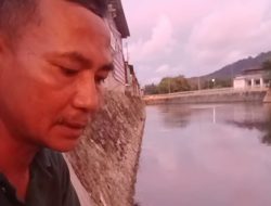 Ribuan Ikan Nila Mati Setiap Hari di Tambak RTH Bombana: Penyebab Bukan Limbah, Tapi Kesalahan Habitat