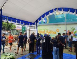 Pegadaian Kanwil Makassar Salurkan 80 Ekor Hewan Qurban, Wujud Kepedulian di Hari Raya Idul Adha 1446 H